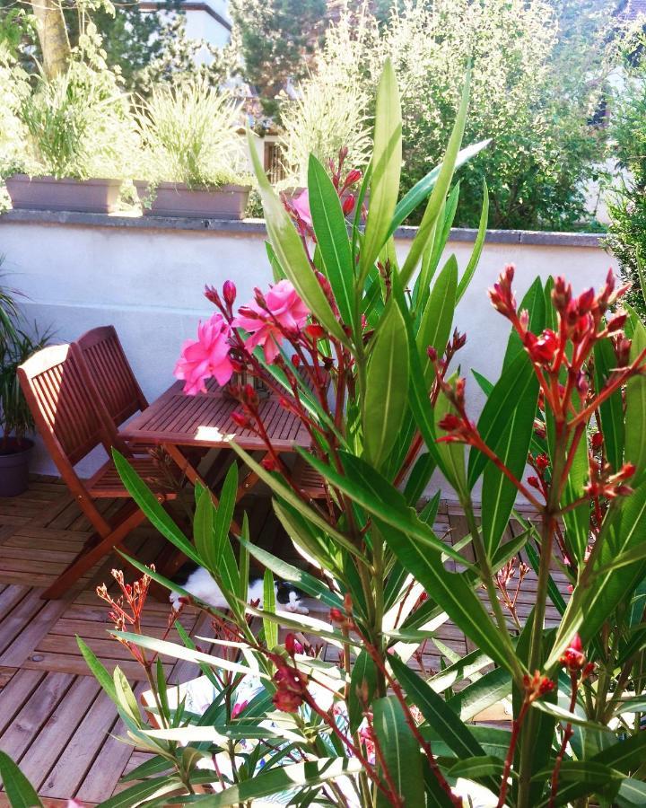 Rosebury 1 Bedroom Free Parking 5min From Colmar * Wintzenheim